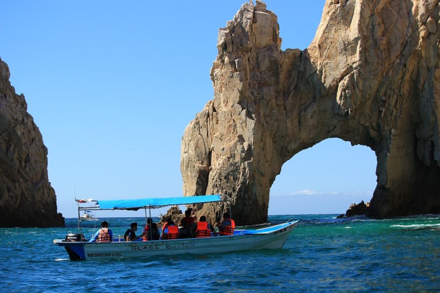 Escape to Mexico Part 3: Whale Watching in Los Cabos