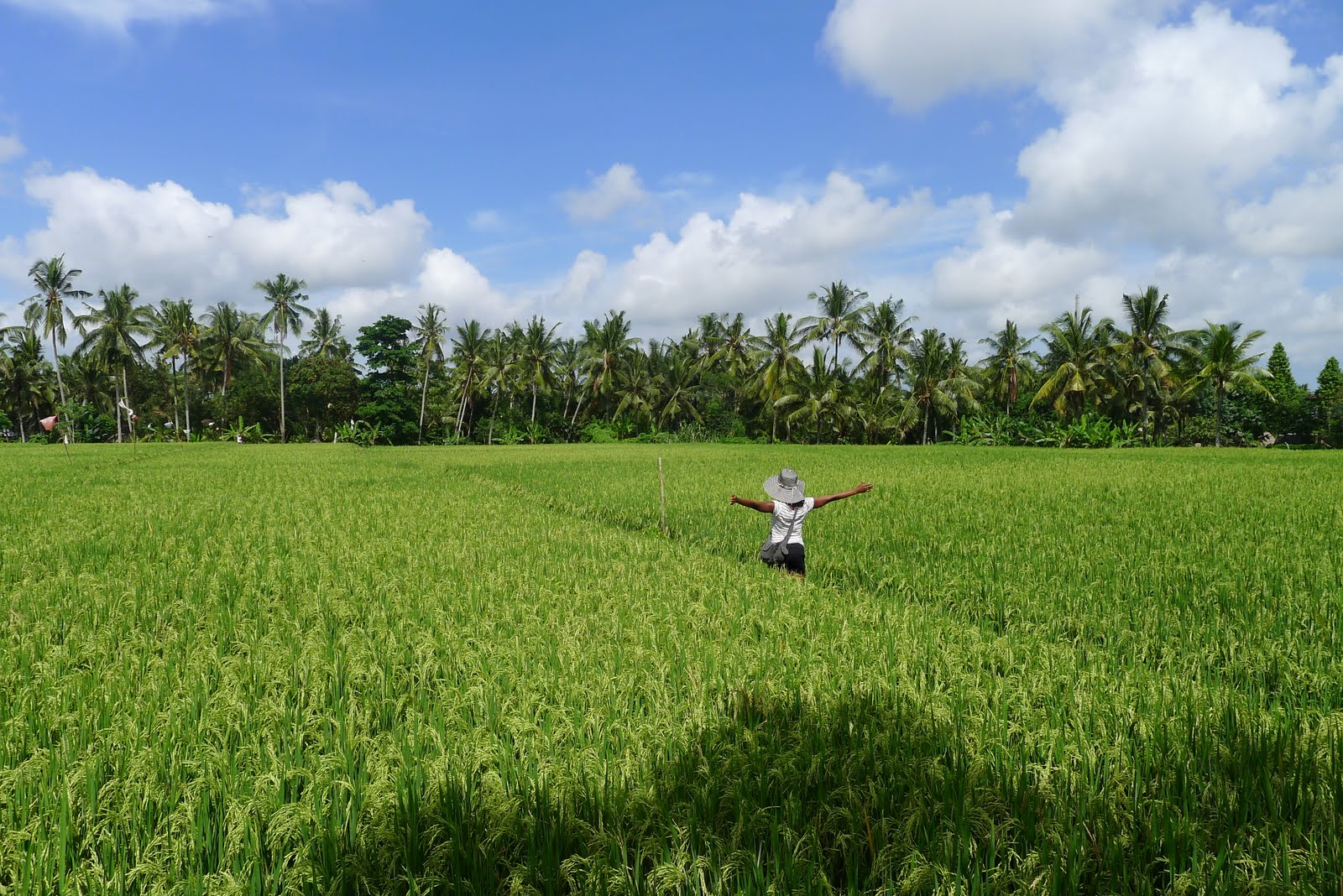 Why I don’t think Ubud deserves the hype