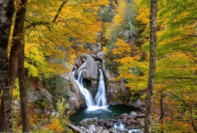 A Calm Guide to Visiting Banff in Peak Season