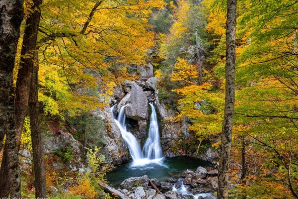 A Calm Guide to Visiting Banff in Peak Season
