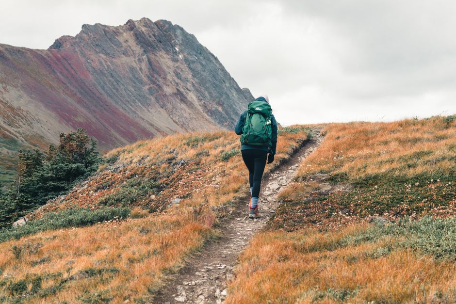 Hiker with backpack trekking through the colorful fall landscape of Jasper National Park, Canada.