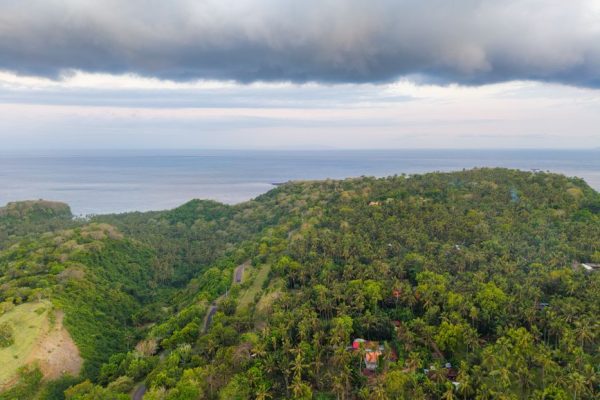 Bali Dry Season: Rice Terraces and Quiet Beaches