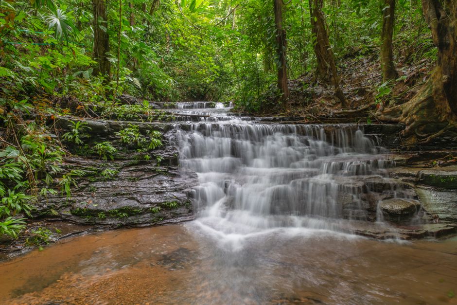 Serene waterfall cascading through lush greenery in Costa Rica's tropical rainforest.