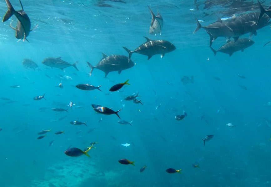 Cairns in June: My Great Barrier Reef Verdict