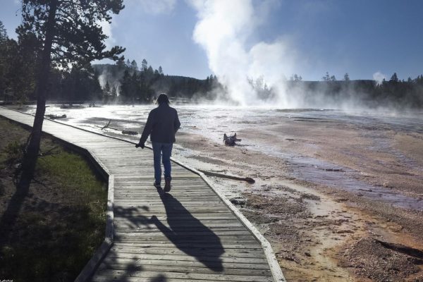 How to Plan a Family-Friendly Yellowstone Route