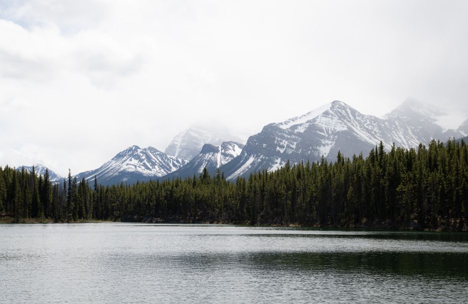 Tranquil lake with a backdrop of snow-capped mountains and dense forest under a white sky.