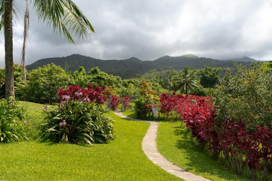 Maui Without Overplanning: Beaches, Drives, and Rest Days