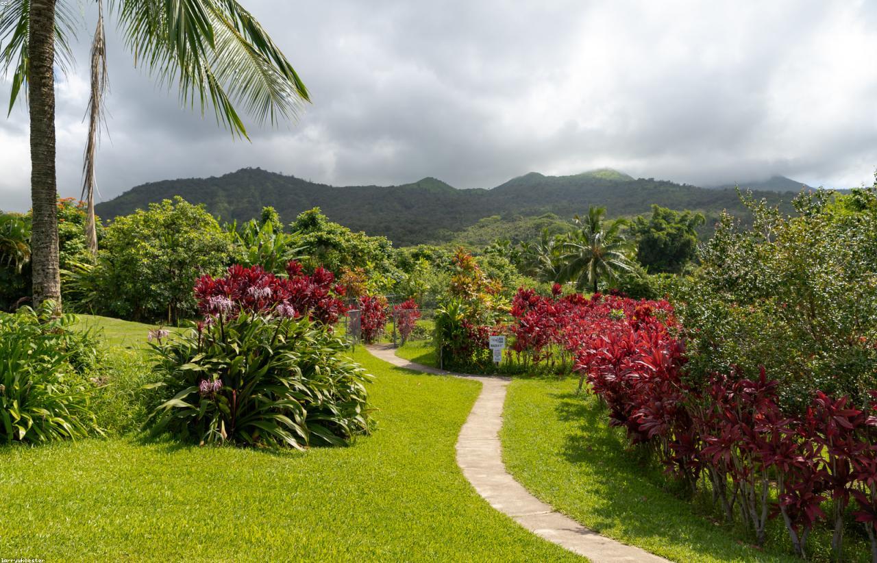 Maui Without Overplanning: Beaches, Drives, and Rest Days