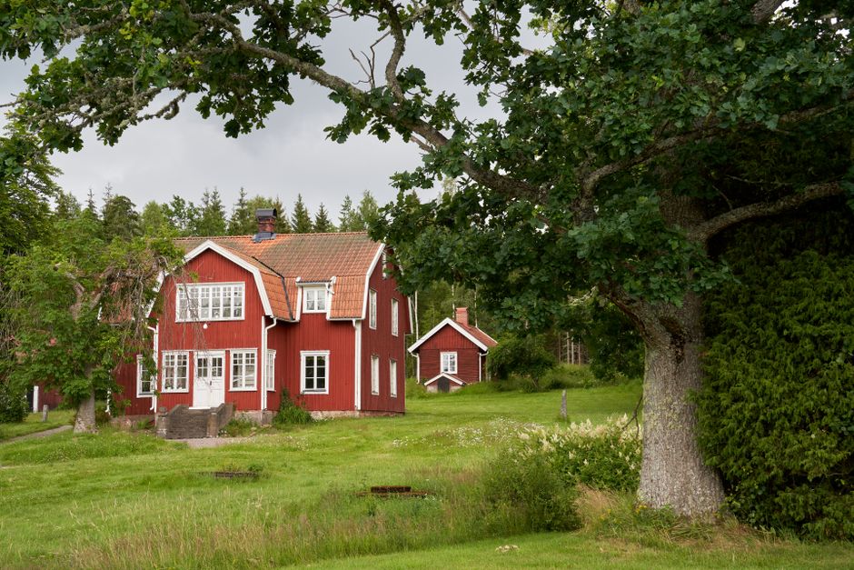 Idyllic red wooden house in a serene Swedish landscape surrounded by lush greenery.