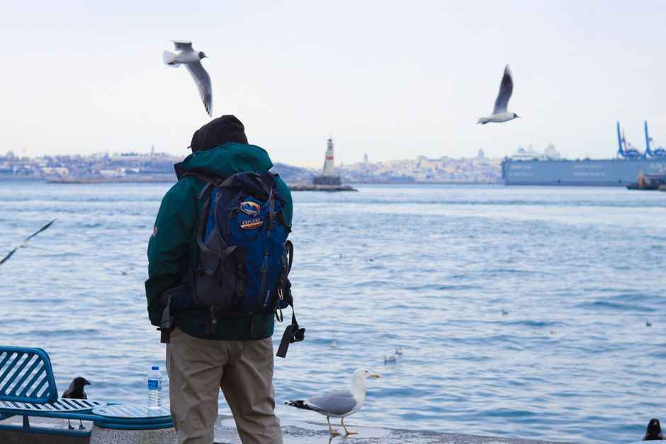 A person with a backpack observes seagulls near a waterfront with a cityscape and lighthouse.
