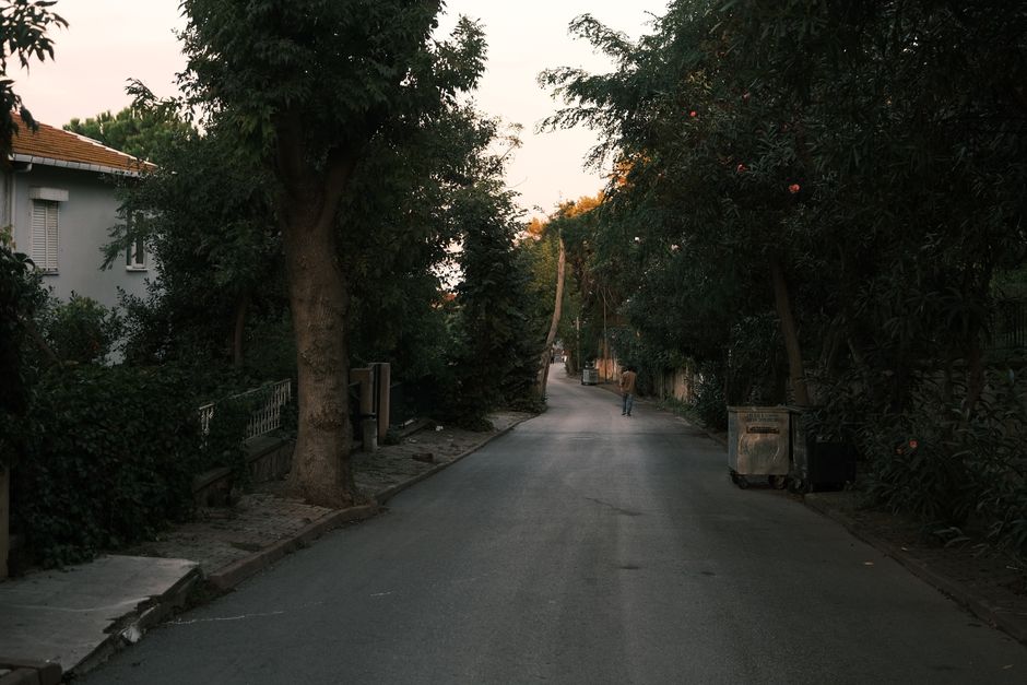 Quiet tree-lined street in early morning before the summer heat