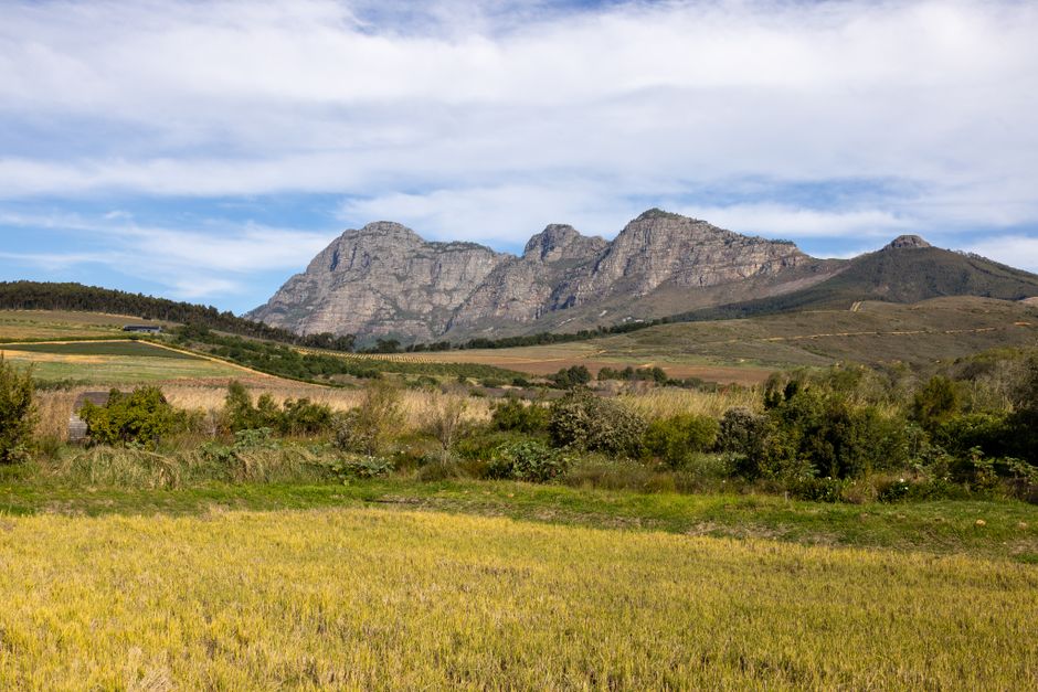 Picturesque view of South African mountains and fields under a clear sky, ideal for travel inspiration.