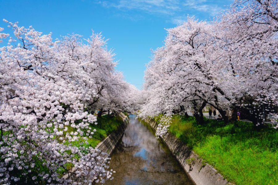 Spring Shoulder-Season Travel: Better Value, Fewer Crowds