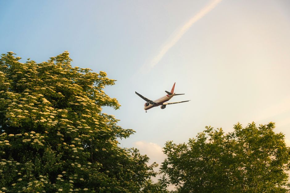 Passenger jet flies over verdant trees at sunset in Schwechat, Austria.