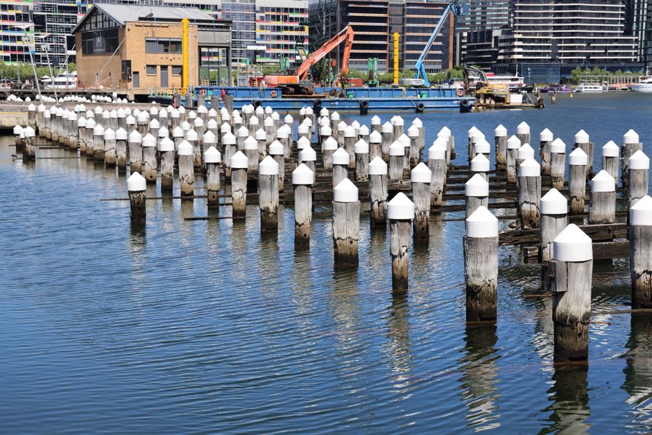 Wooden pilings with white caps at a dock, cityscape with cranes and buildings in the background.